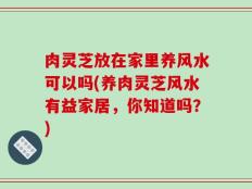 肉灵芝放在家里养风水可以吗(养肉灵芝风水有益家居，你知道吗？)