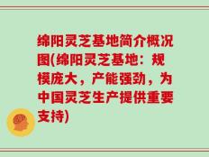 绵阳灵芝基地简介概况图(绵阳灵芝基地：规模庞大，产能强劲，为中国灵芝生产提供重要支持)