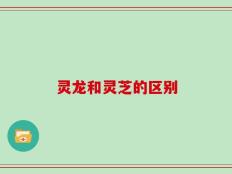 灵龙和灵芝的区别