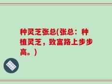 种灵芝张总(张总：种植灵芝，致富路上步步高。)