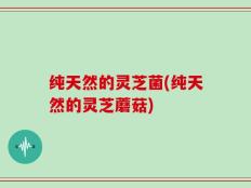 纯天然的灵芝菌(纯天然的灵芝蘑菇)