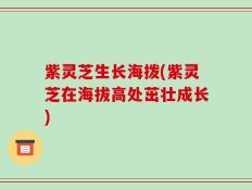 紫灵芝生长海拨(紫灵芝在海拔高处茁壮成长)