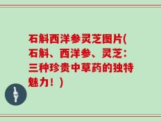 石斛西洋参灵芝图片(石斛、西洋参、灵芝：三种珍贵中草药的独特魅力！)