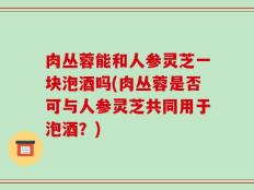 肉丛蓉能和人参灵芝一块泡酒吗(肉丛蓉是否可与人参灵芝共同用于泡酒？)