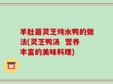 羊肚菌灵芝炖水鸭的做法(灵芝鸭汤  营养丰富的美味料理)