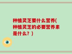 种植灵芝要什么营养(种植灵芝的必要营养素是什么？)