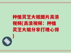 种植灵芝大姐图片高清视频(高清视频：种植灵芝大姐分享打理心得)