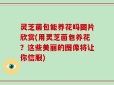 灵芝菌包能养花吗图片欣赏(用灵芝菌包养花？这些美丽的图像将让你信服)