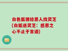 白色狐狸给恩人找灵芝(白狐送灵芝：感恩之心不止于言语)