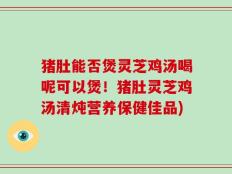 猪肚能否煲灵芝鸡汤喝呢可以煲！猪肚灵芝鸡汤清炖营养保健佳品)
