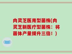 肉灵芝医用型菌株(肉灵芝新医疗型菌株：将菌体产量提升三倍！)