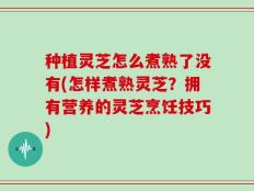 种植灵芝怎么煮熟了没有(怎样煮熟灵芝？拥有营养的灵芝烹饪技巧)