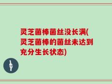 灵芝菌棒菌丝没长满(灵芝菌棒的菌丝未达到充分生长状态)