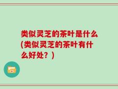 类似灵芝的茶叶是什么(类似灵芝的茶叶有什么好处？)