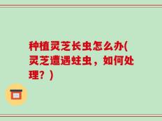 种植灵芝长虫怎么办(灵芝遭遇蛀虫，如何处理？)