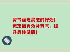 肾气虚吃灵芝的好处(灵芝能有效补肾气，提升身体健康)