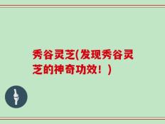秀谷灵芝(发现秀谷灵芝的神奇功效！)