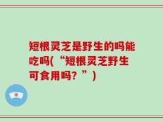 短根灵芝是野生的吗能吃吗(“短根灵芝野生可食用吗？”)