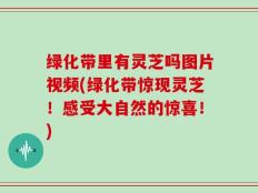 绿化带里有灵芝吗图片视频(绿化带惊现灵芝！感受大自然的惊喜！)