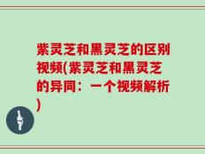 紫灵芝和黑灵芝的区别视频(紫灵芝和黑灵芝的异同：一个视频解析)