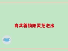 肉苁蓉锁阳灵芝泡水