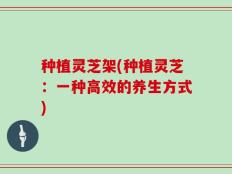 种植灵芝架(种植灵芝：一种高效的养生方式)
