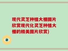 现代灵芝种植大棚图片欣赏现代化灵芝种植大棚的精美图片欣赏)