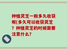 种植灵芝一般多久收获呢(多久可以收获灵芝？种植灵芝的时候需要注意什么？