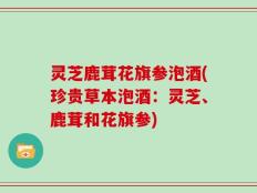 灵芝鹿茸花旗参泡酒(珍贵草本泡酒：灵芝、鹿茸和花旗参)
