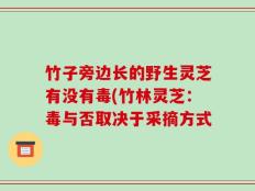 竹子旁边长的野生灵芝有没有毒(竹林灵芝：毒与否取决于采摘方式