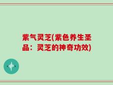 紫气灵芝(紫色养生圣品：灵芝的神奇功效)