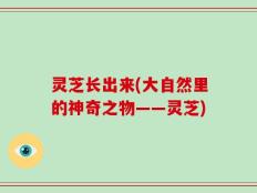 灵芝长出来(大自然里的神奇之物——灵芝)