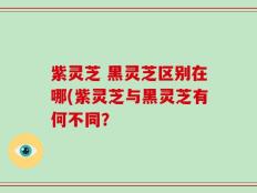 紫灵芝 黑灵芝区别在哪(紫灵芝与黑灵芝有何不同？