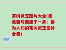 茶树灵芝图片大全(集美丽与健康于一身：鲜为人知的茶树灵芝图片合集)