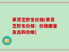 草灵芝野生价格(草灵芝野生价格：价格图鉴及选购攻略)