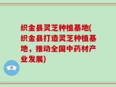 织金县灵芝种植基地(织金县打造灵芝种植基地，推动全国中药材产业发展)