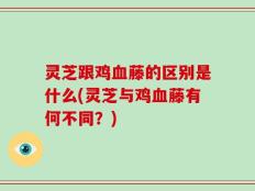 灵芝跟鸡血藤的区别是什么(灵芝与鸡血藤有何不同？)