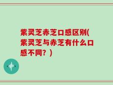 紫灵芝赤芝口感区别(紫灵芝与赤芝有什么口感不同？)