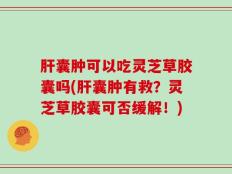 肝囊肿可以吃灵芝草胶囊吗(肝囊肿有救？灵芝草胶囊可否缓解！)