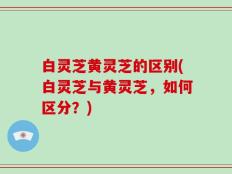 白灵芝黄灵芝的区别(白灵芝与黄灵芝，如何区分？)