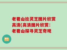 老君山捡灵芝图片欣赏高清(高清图片欣赏：老君山探寻灵芝奇观