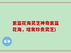 紫蓝花海灵芝神奇紫蓝花海，培育珍贵灵芝)
