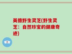 英德野生灵芝(野生灵芝：自然珍宝的健康奇迹)