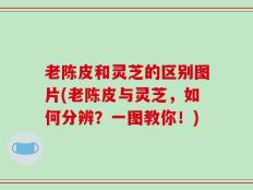 老陈皮和灵芝的区别图片(老陈皮与灵芝，如何分辨？一图教你！)