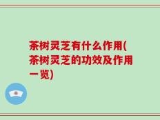 茶树灵芝有什么作用(茶树灵芝的功效及作用一览)