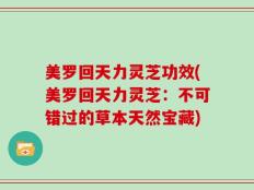 美罗回天力灵芝功效(美罗回天力灵芝：不可错过的草本天然宝藏)