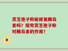灵芝孢子粉能修复胰岛素吗？探究灵芝孢子粉对胰岛素的作用？