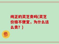 纯正的灵芝贵吗(灵芝价格不便宜，为什么这么贵？)