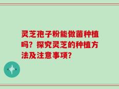 灵芝孢子粉能做菌种植吗？探究灵芝的种植方法及注意事项？