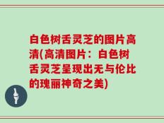 白色树舌灵芝的图片高清(高清图片：白色树舌灵芝呈现出无与伦比的瑰丽神奇之美)